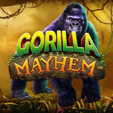 black gorilla in the jungle 