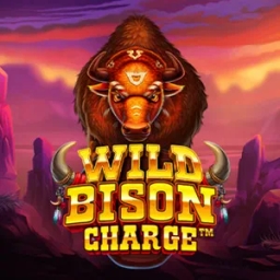 wild bison charge brown bison running